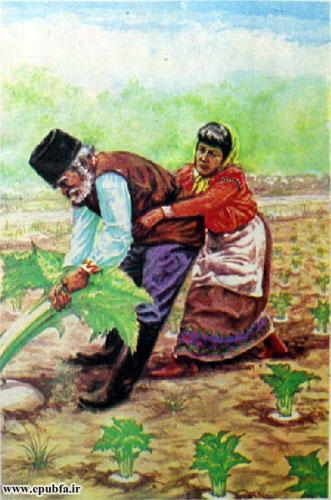 عمو حسین و زنش هر دو باهم سعی میکردند شلغم را بیرون بکشند